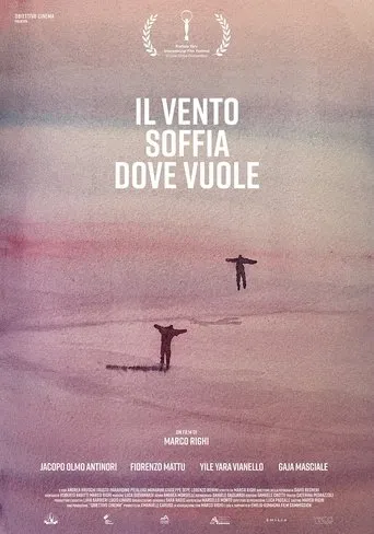 Póster de Il vento soffia dove vuole