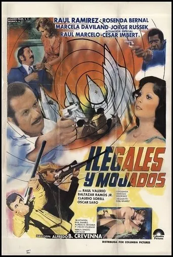 Póster de Ilegales y mojados