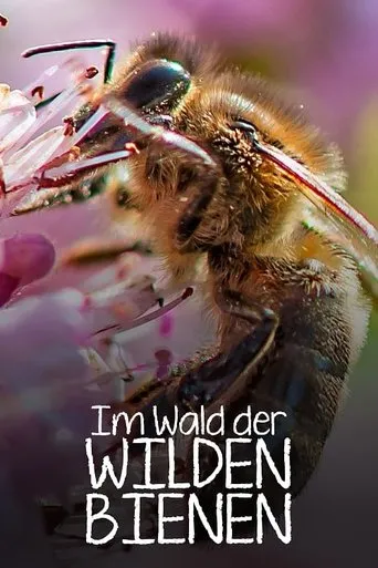 Póster de Im Wald der wilden Bienen