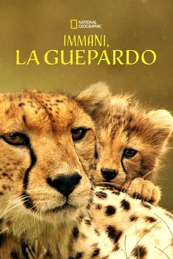 Póster de Immani, la guepardo
