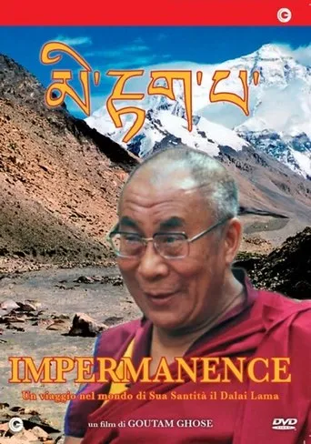 Póster de Impermanence