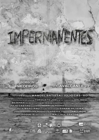 Póster de Impermanentes