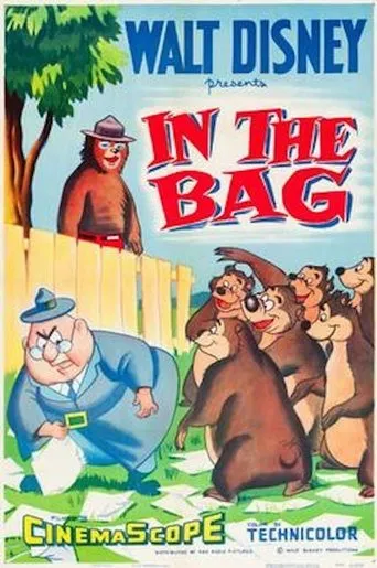 Póster de In the Bag