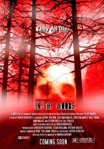 Póster de In the Woods