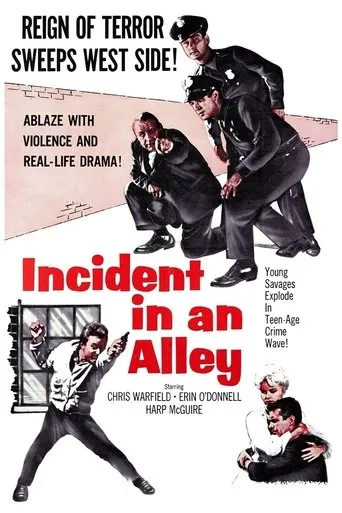 Póster de Incident in an Alley