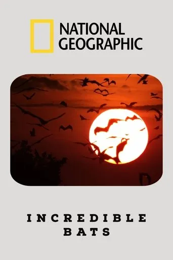 Póster de Incredible Bats
