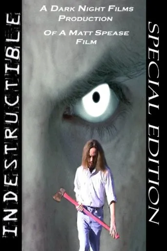 Póster de Indestructible