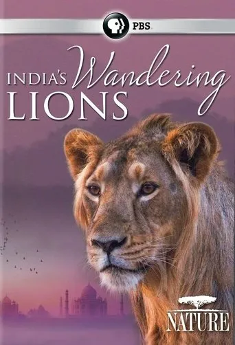 Póster de India's Wandering Lions