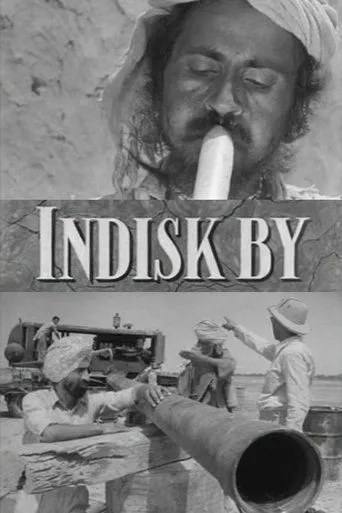 Póster de Indisk by