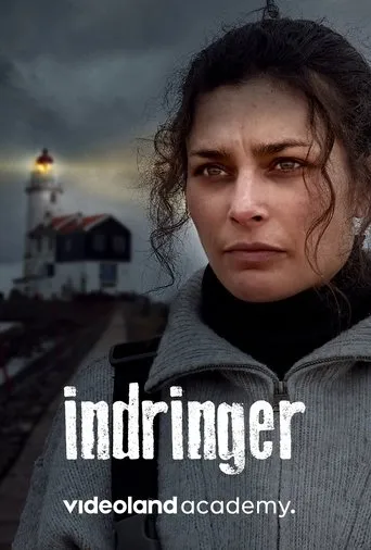 Póster de Indringer
