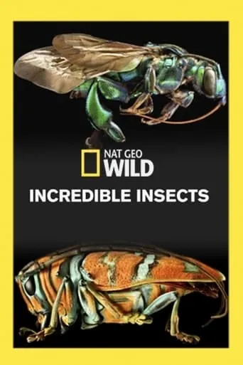 Póster de Insectos increíbles
