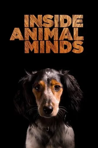 Póster de Inside Animal Minds