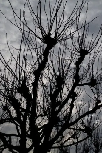 Póster de Intimations