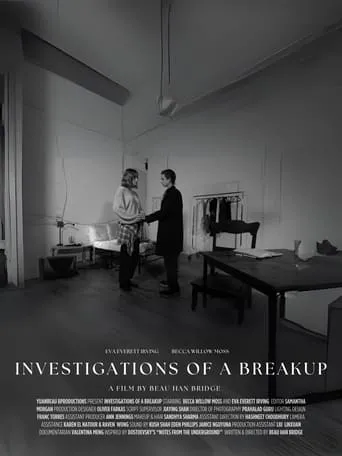 Póster de Investigations of a Breakup