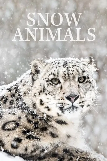 Póster de Invierno animal