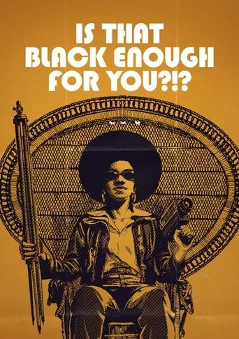 Póster de Is That Black Enough for You?!?