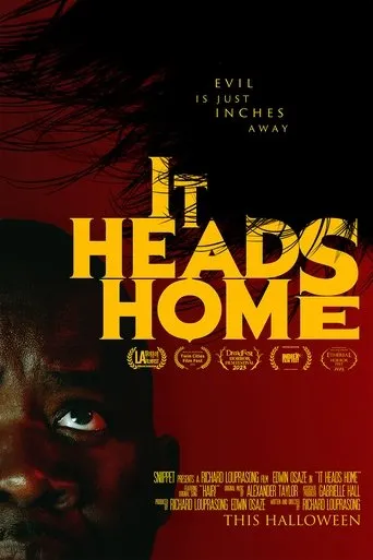 Póster de It Heads Home