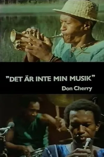 Póster de It Is Not My Music