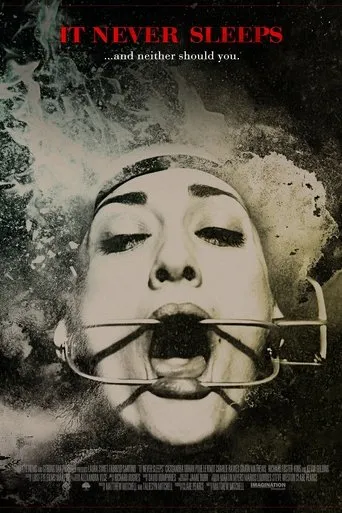 Póster de It Never Sleeps