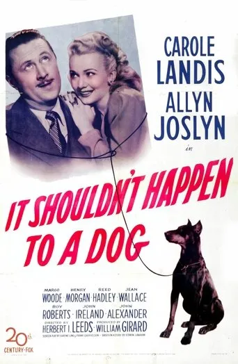 Póster de It Shouldn't Happen to a Dog
