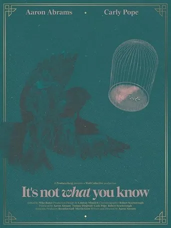 Póster de It's Not What You Know