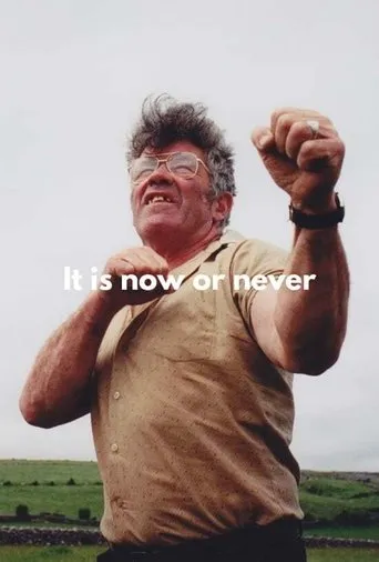 Póster de It's Now or Never