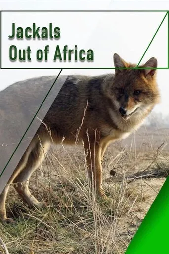 Póster de Jackals - Out of Africa
