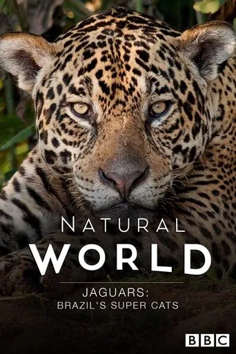 Póster de Jaguars: Brazil's Super Cats