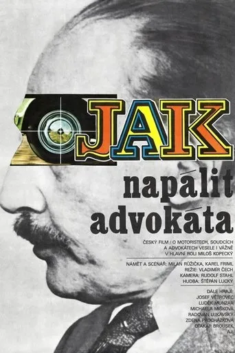 Póster de Jak napálit advokáta