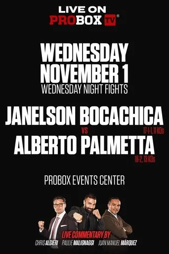 Póster de Janelson Bocachica vs. Alberto Palmetta