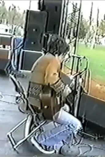 Póster de John Frusciante Live at the Denison University in Granville, Ohio