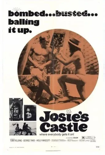 Póster de Josie's Castle