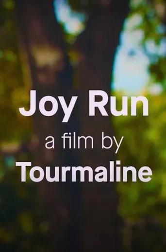 Póster de Joy Run