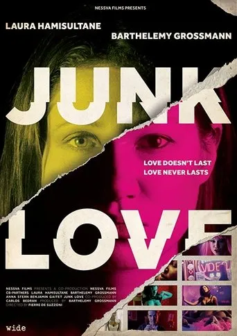 Póster de Junk Love
