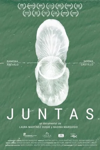 Póster de Juntas