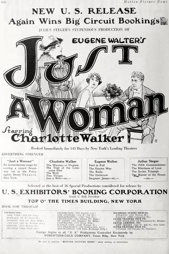 Póster de Just a Woman