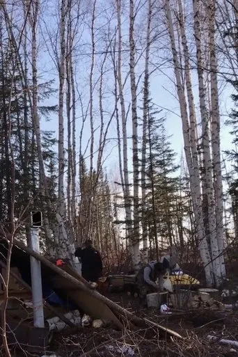 Póster de K'i Tah Amongst the Birch
