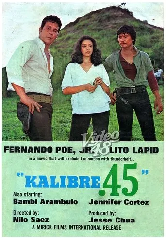 Póster de Kalibre .45