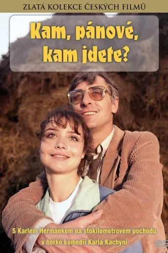 Póster de Kam, pánové, kam jdete?