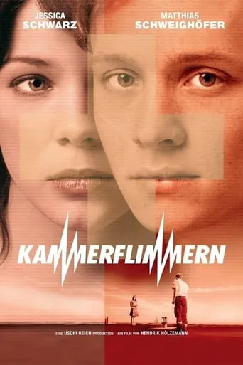 Póster de Kammerflimmern