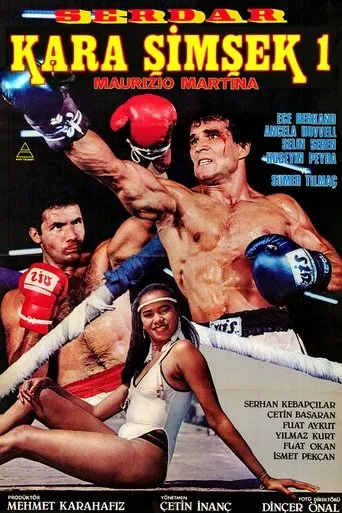 Póster de Kara Şimşek