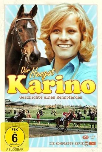 Póster de Karino