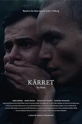 Póster de Kärret