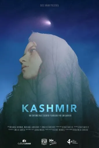 Póster de Kashmir