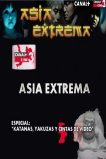 Póster de Katanas, yakuzas y cintas de video