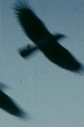 Póster de Kerro minulle