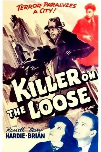 Póster de Killer at Large