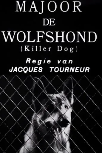 Póster de Killer Dog