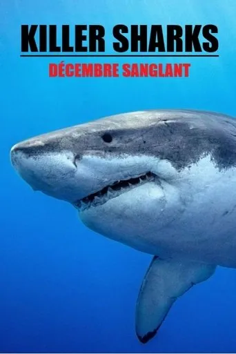 Póster de Killer Sharks : The Attacks Of Black December
