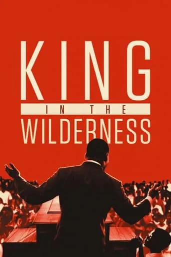 Póster de King in the Wilderness